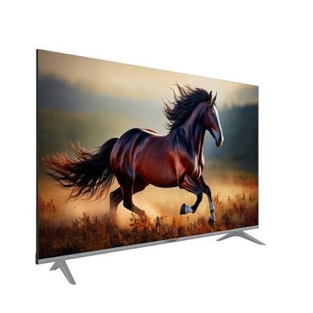 تلويزيون ال اي دي مدل EN-65-4K-BS انترو